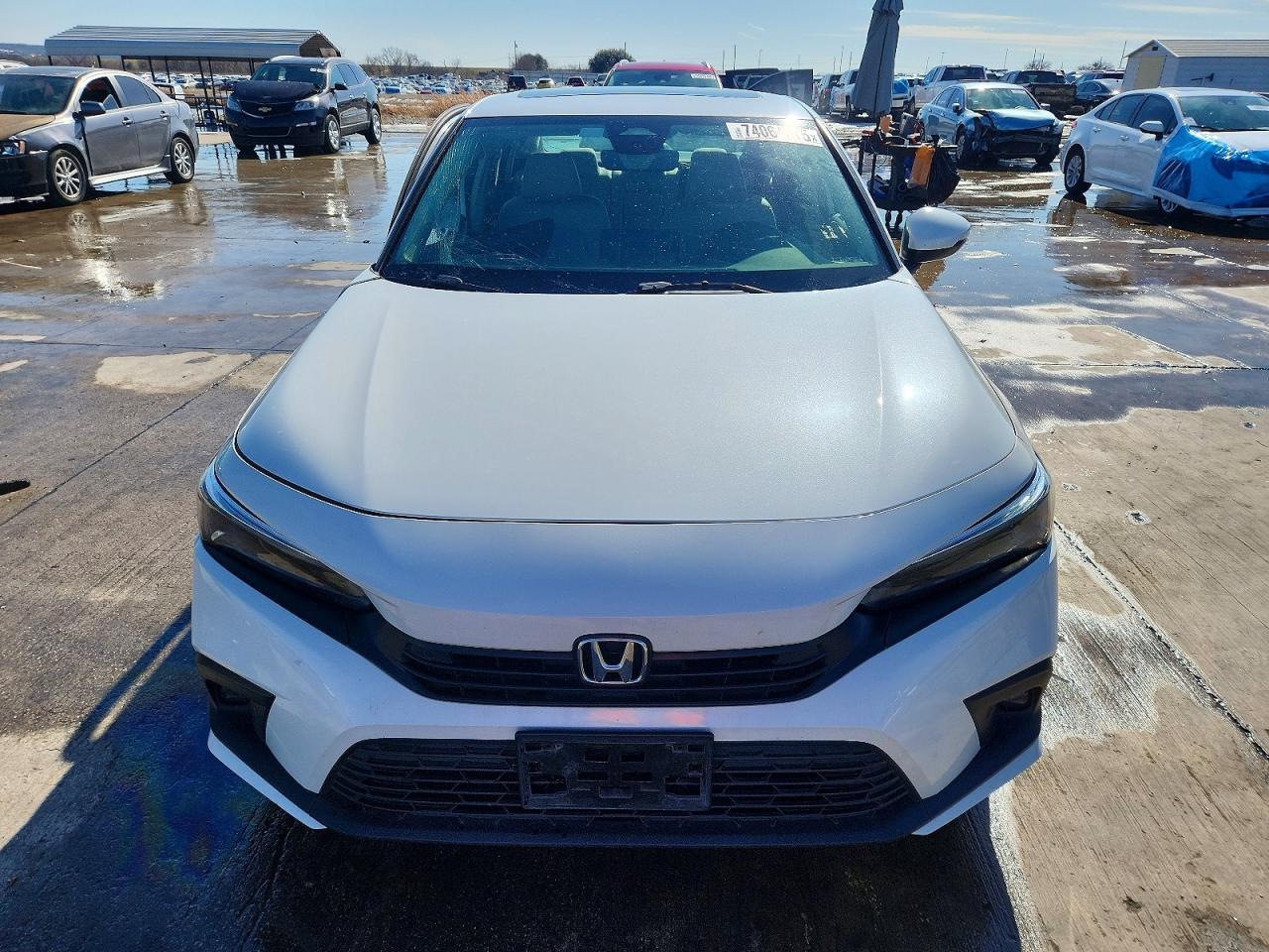 2023 Honda Civic Touring - Image 5