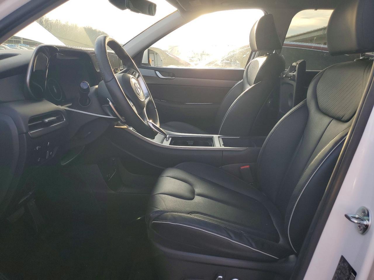 2024 Hyundai Palisade Sel Premium - Фото 7