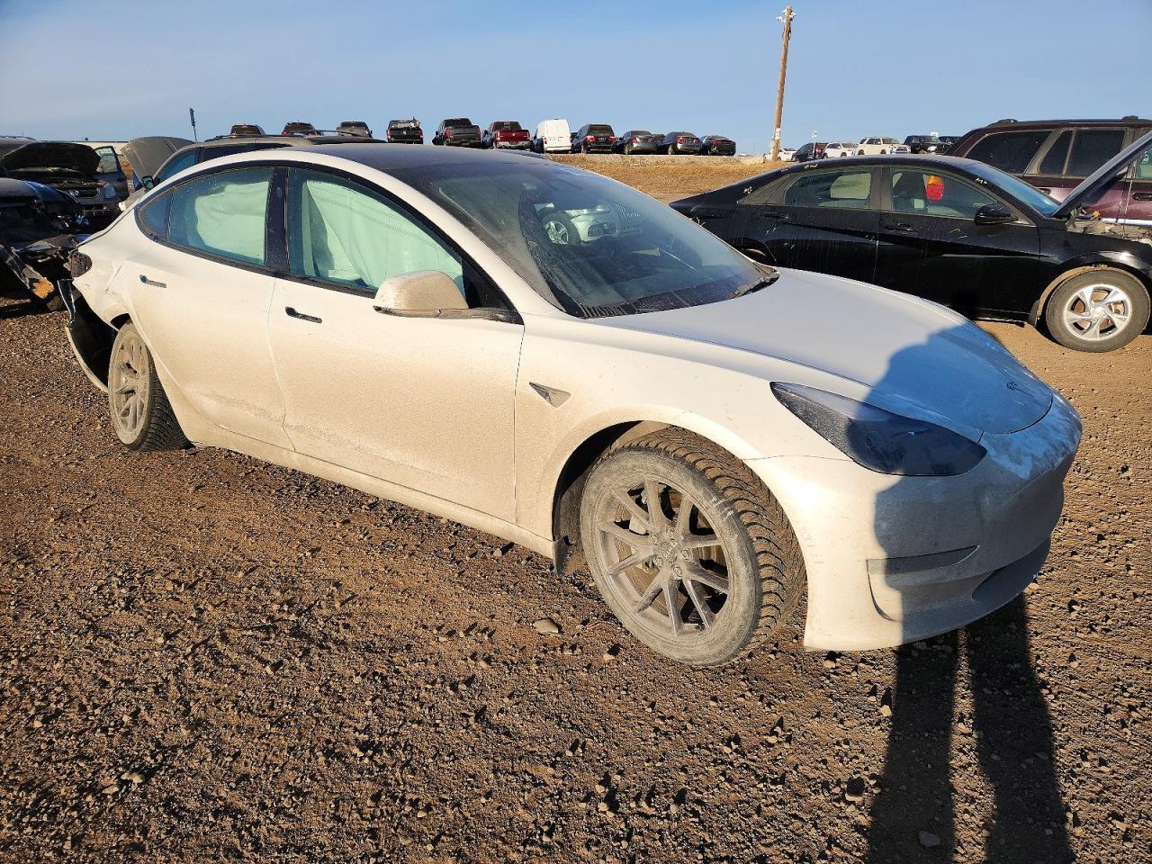 2021 Tesla Model 3 - Фото 4