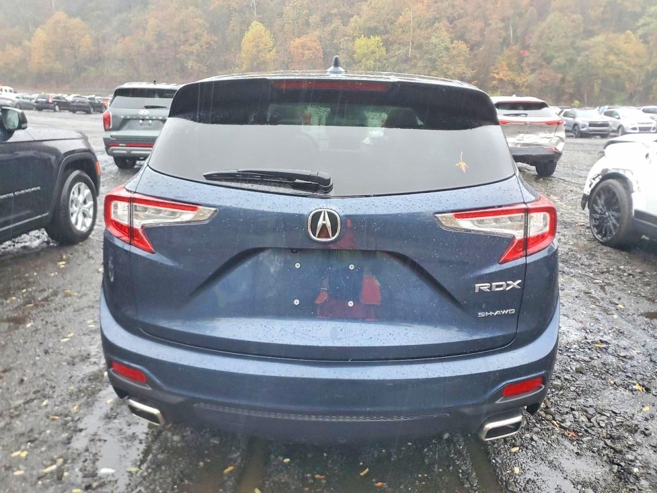 2025 Acura Rdx - Image 6