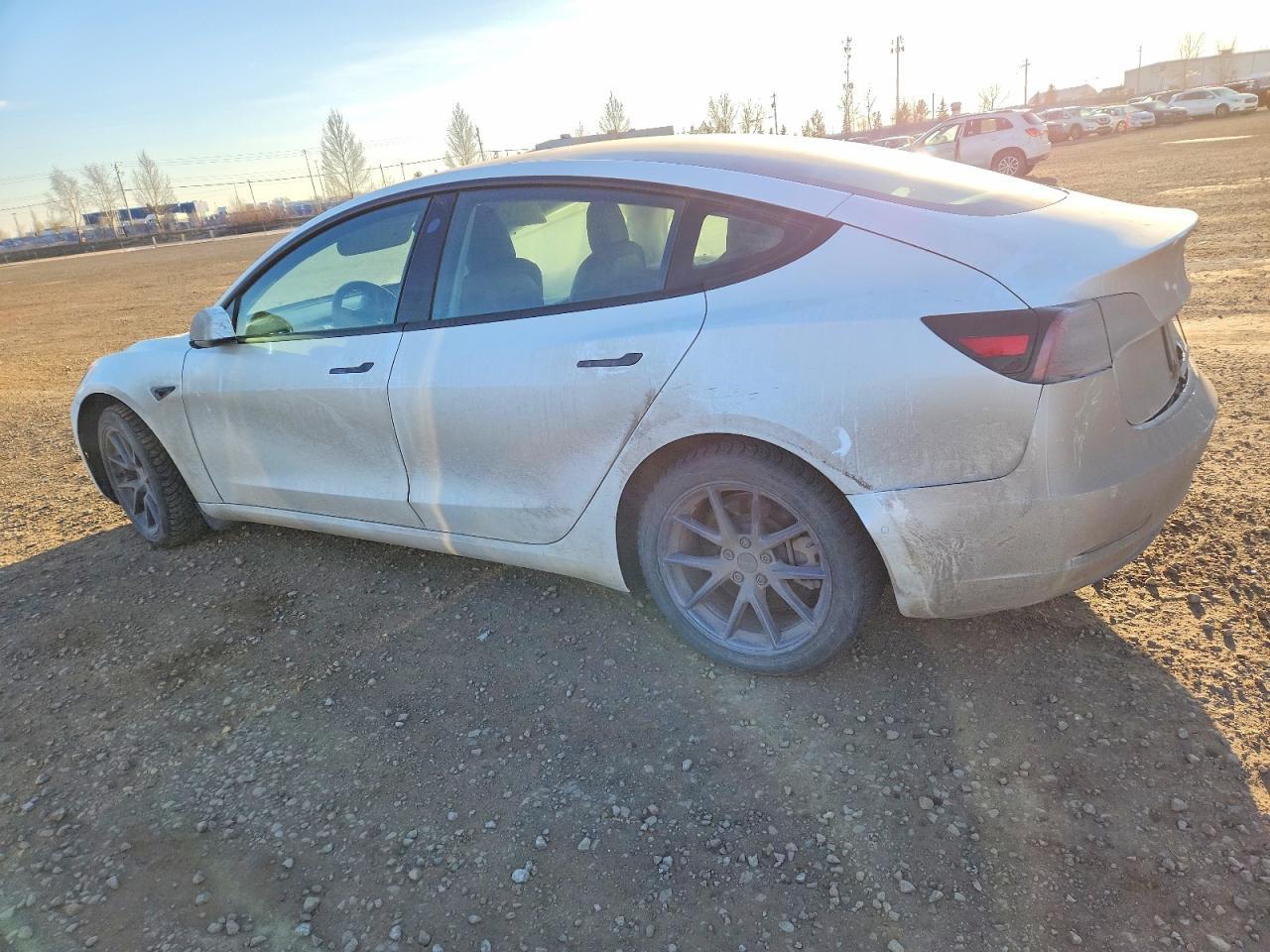 2021 Tesla Model 3 - Фото 2