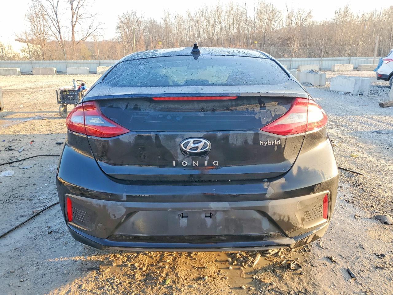 2017 Hyundai Ioniq Limited - Фото 6