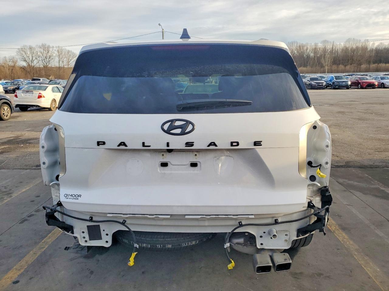 2024 Hyundai Palisade Sel Premium - Фото 6
