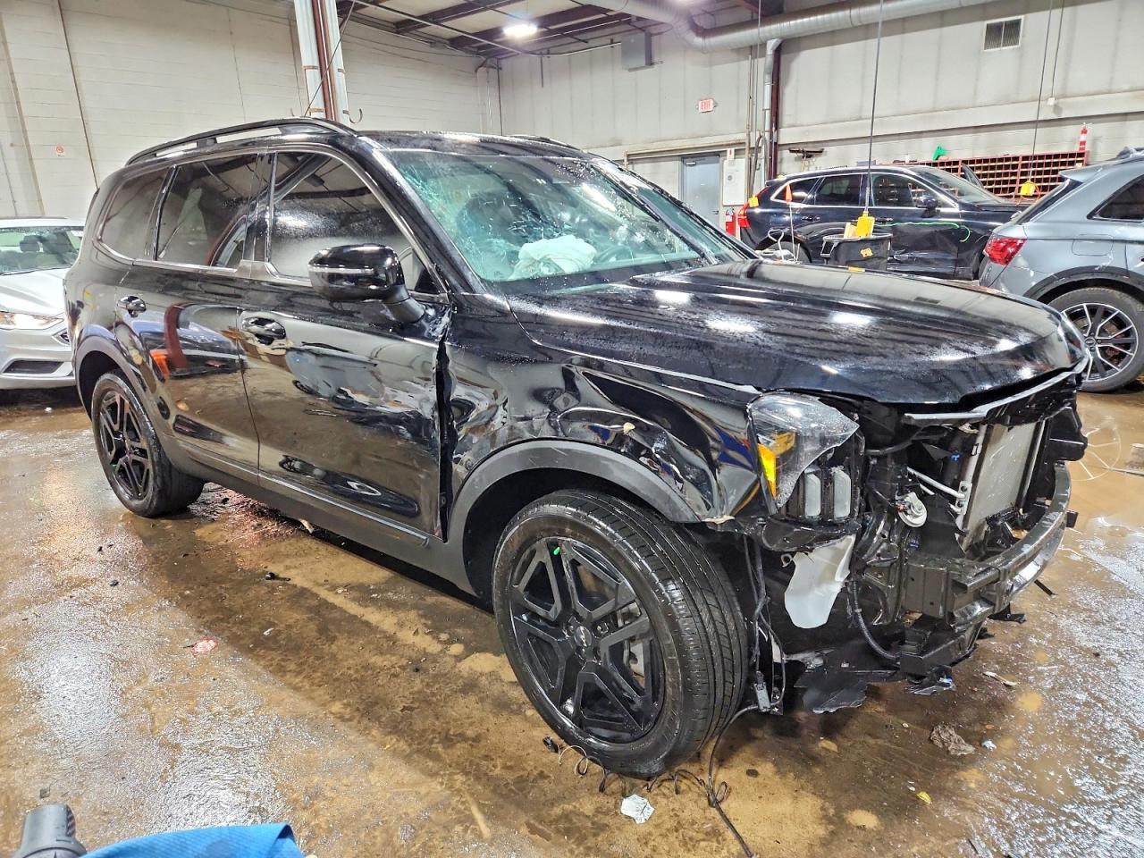 2024 Kia Telluride Ex X-Line - Фото 4