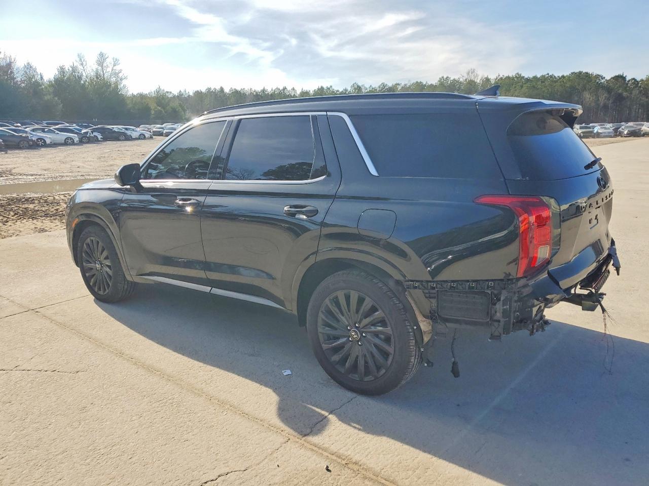 2024 Hyundai Palisade Calligraphy - Image 2