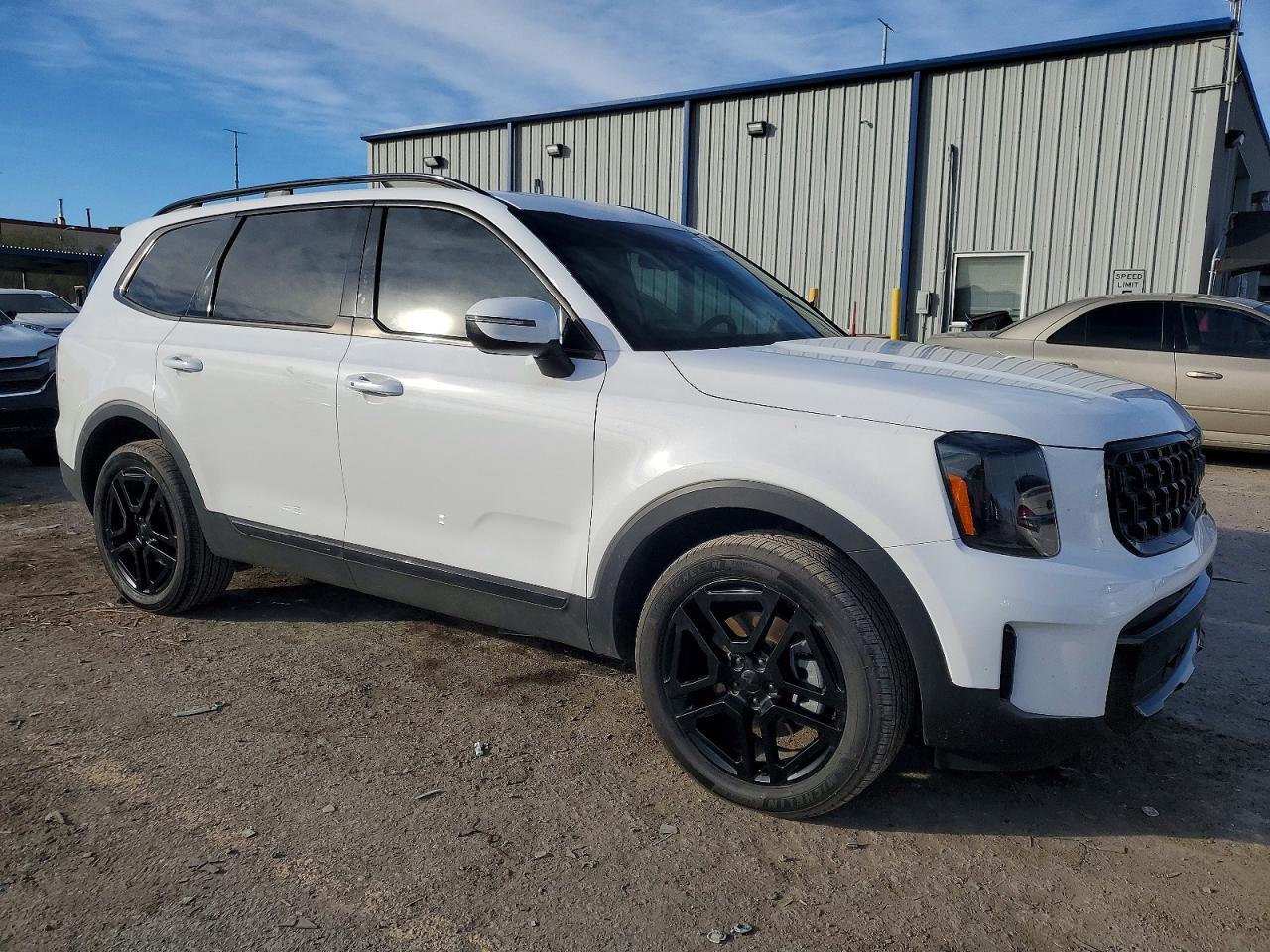 2025 Kia Telluride Ex X-Line - Фото 4