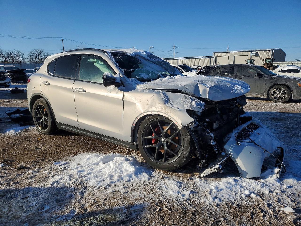 2020 Alfa Romeo Stelvio - Фото 4