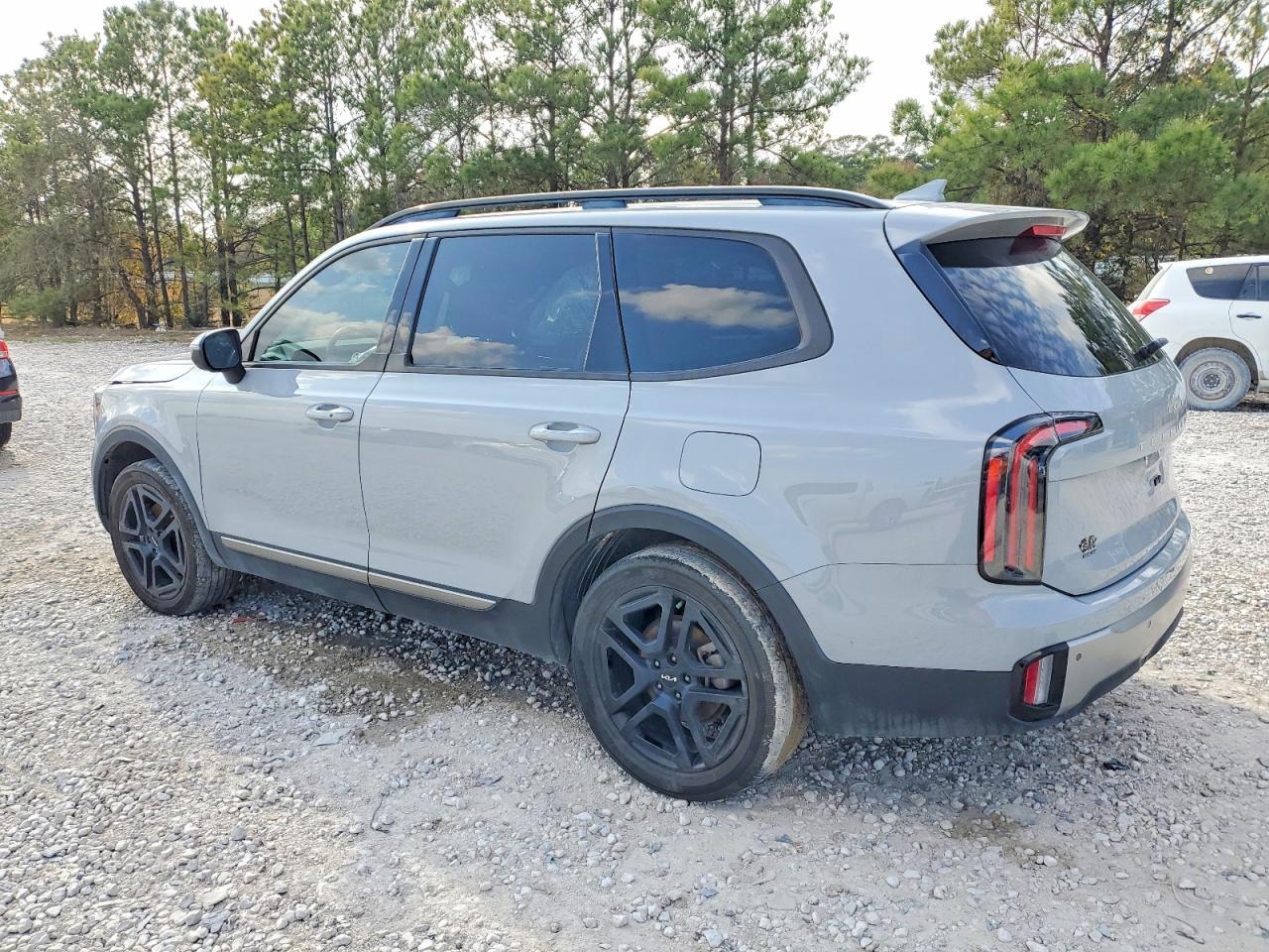 2023 Kia Telluride Ex - Image 2