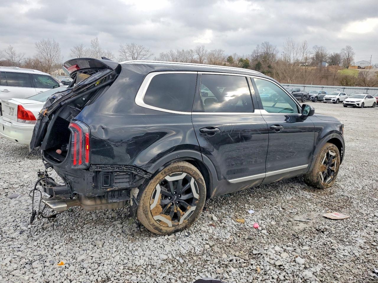 2023 Kia Telluride Ex - Фото 3