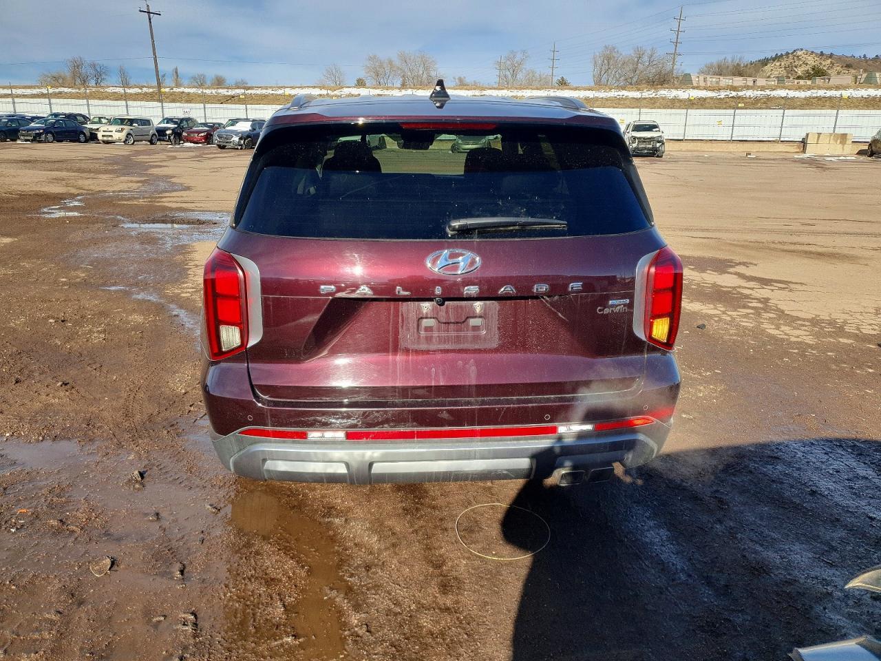 2024 Hyundai Palisade Sel - Фото 6