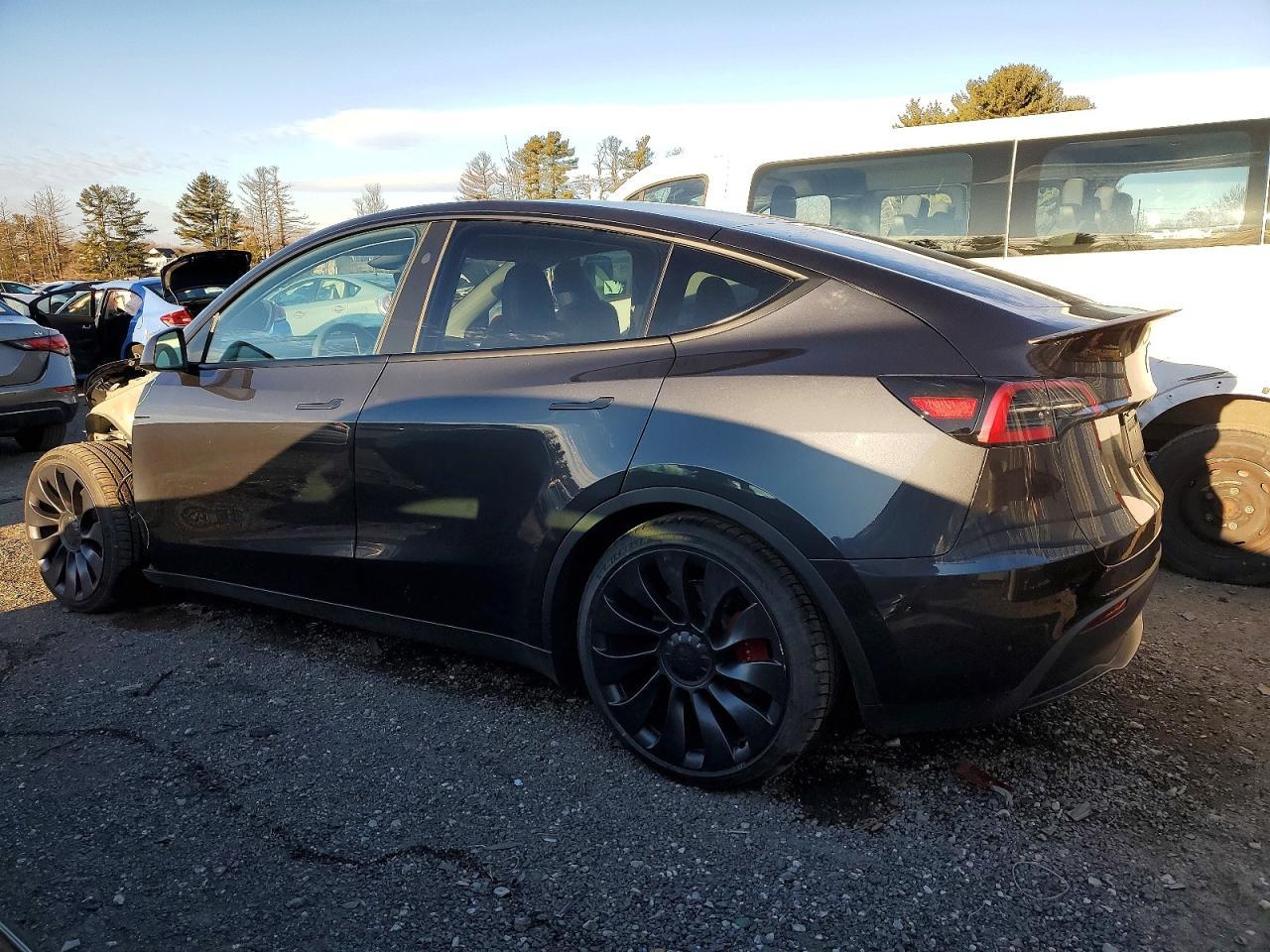 2024 Tesla Model Y - Фото 2