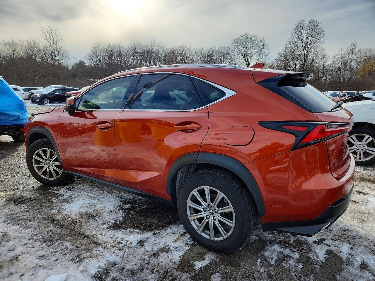 2020 Lexus Nx 300 - Фото 2
