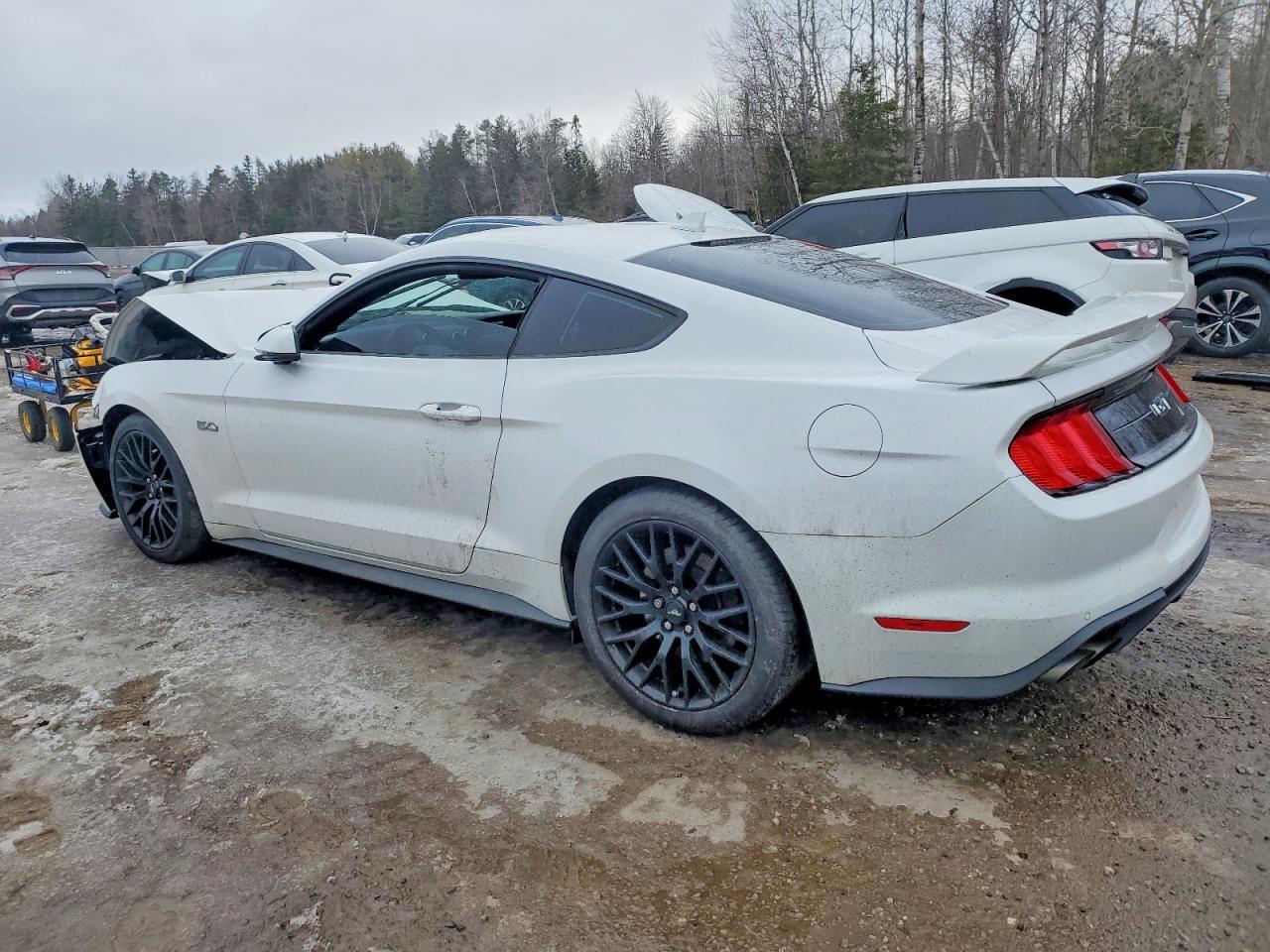 2022 Ford Mustang Gt - Фото 2