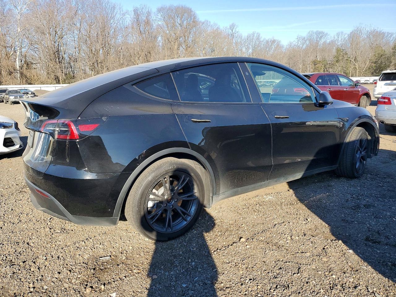 2024 Tesla Model Y - Фото 3