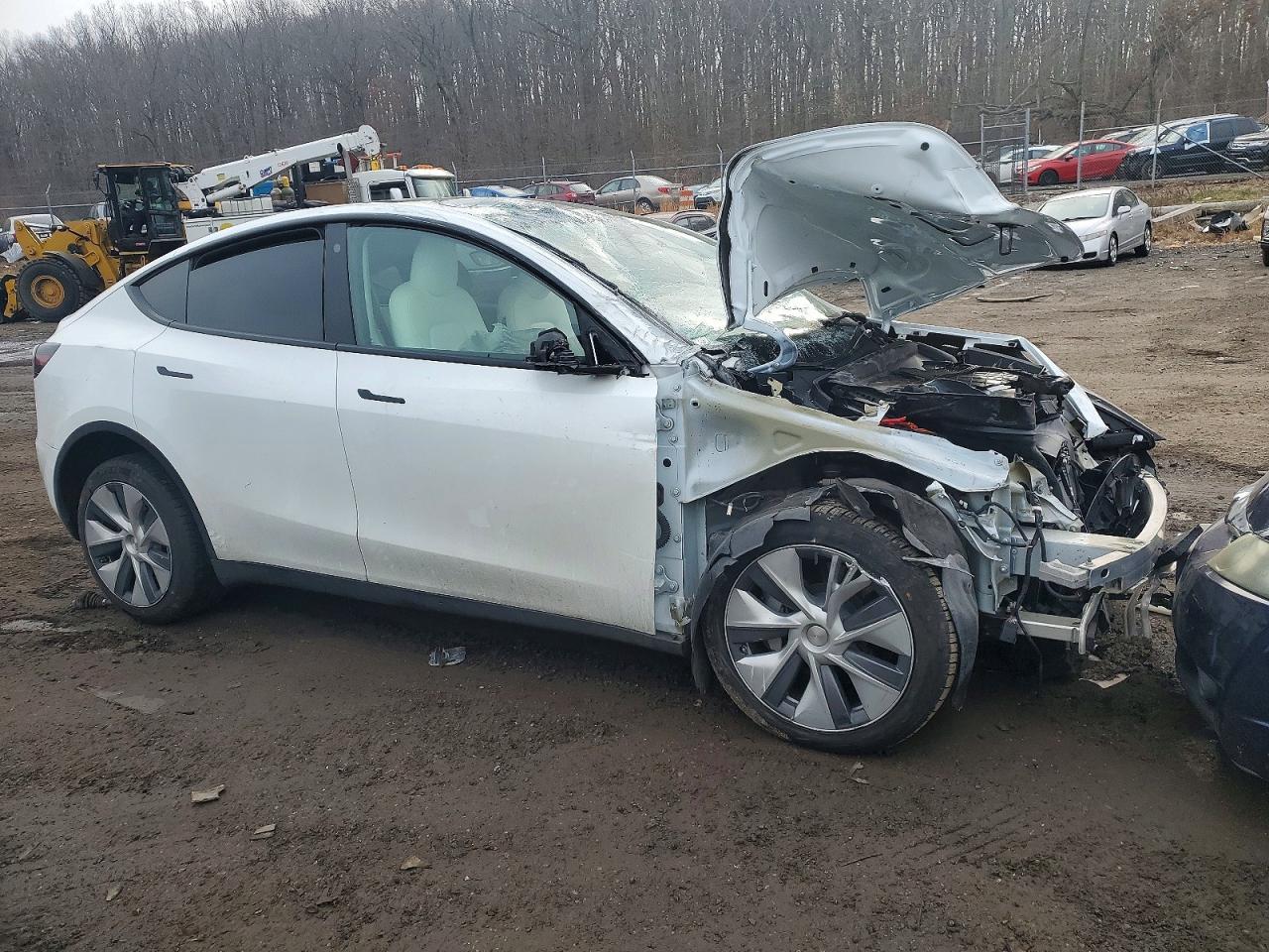 2023 Tesla Model Y - Image 4
