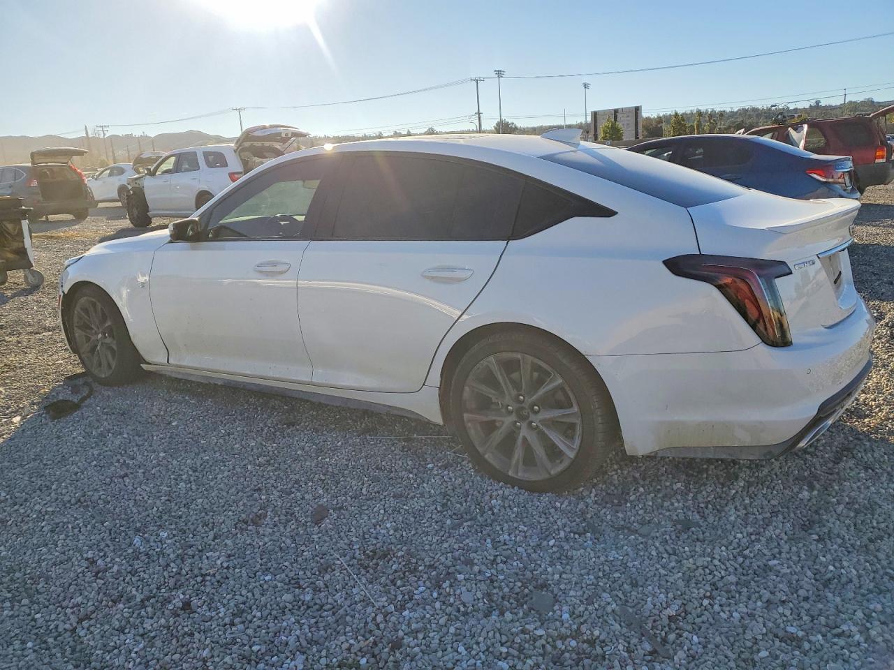 2024 Cadillac Ct5 Sport - Фото 2