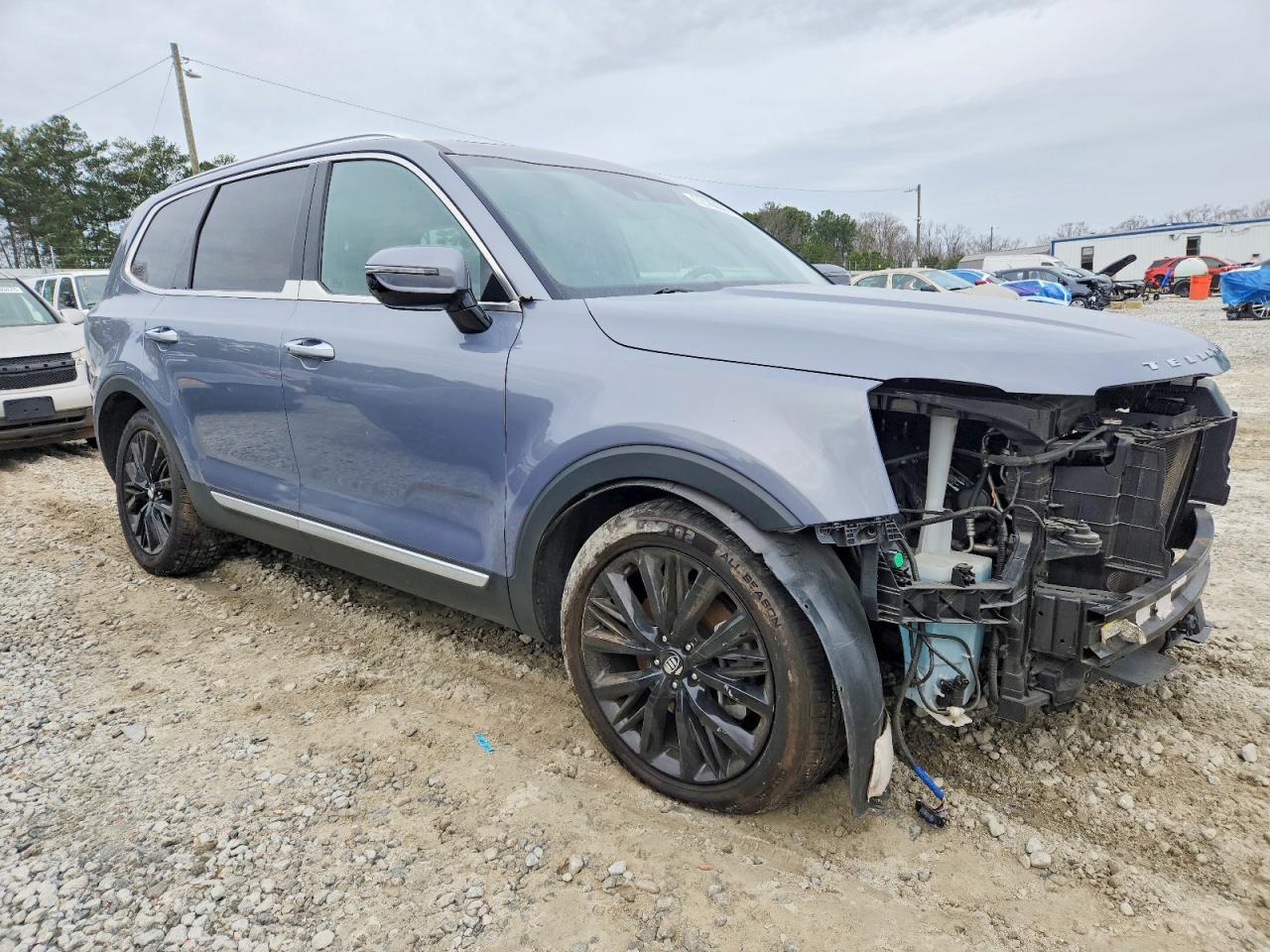 2021 Kia Telluride Sx - Фото 4