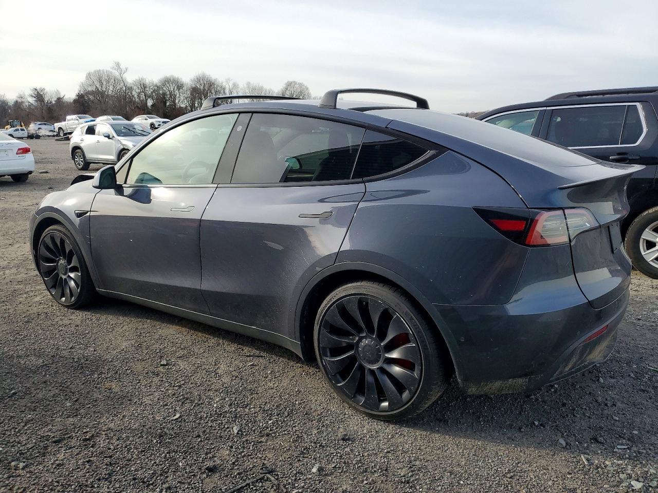 2023 Tesla Model Y - Фото 2