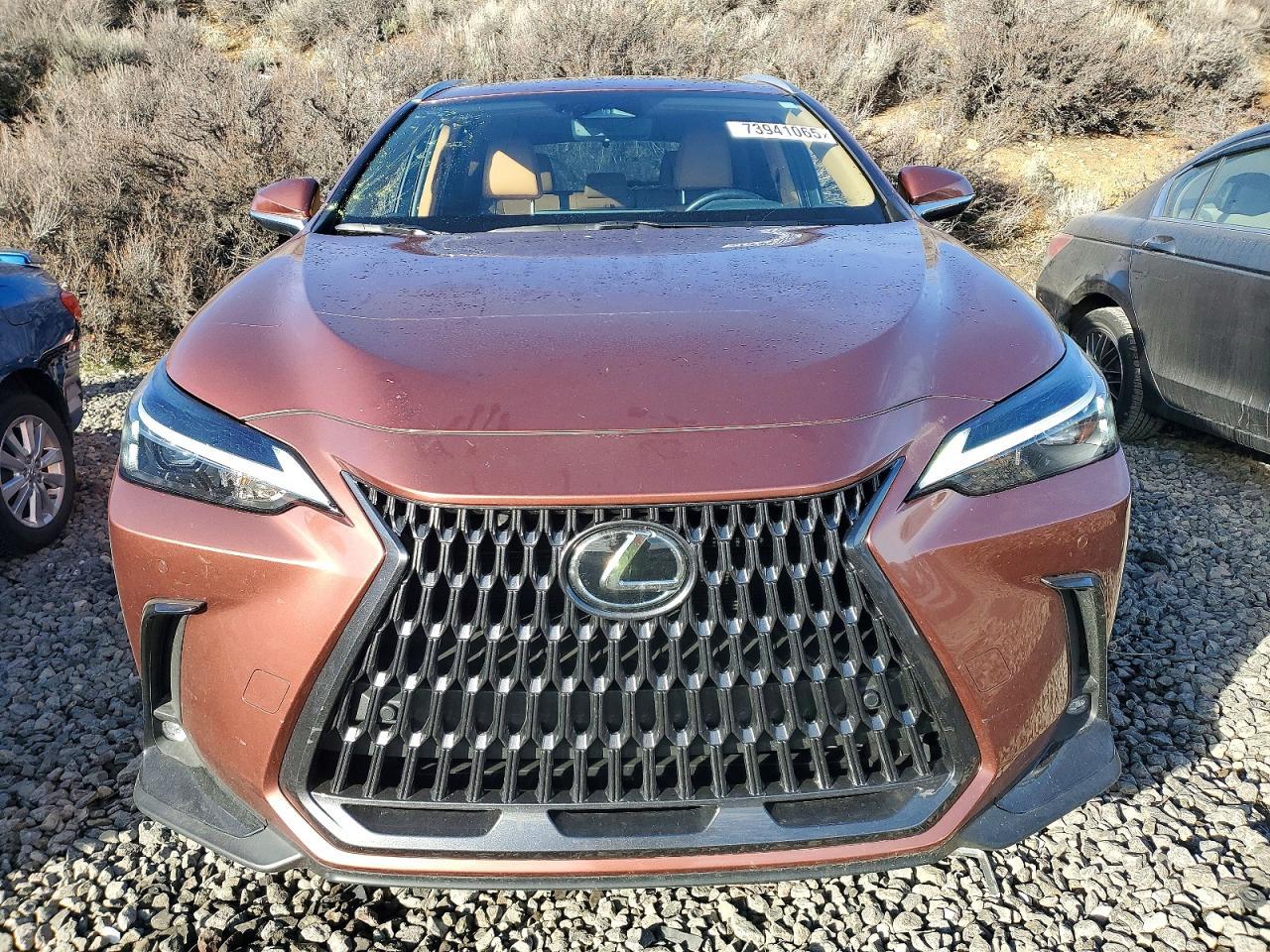 2025 Lexus Nx 350H Base - Фото 5