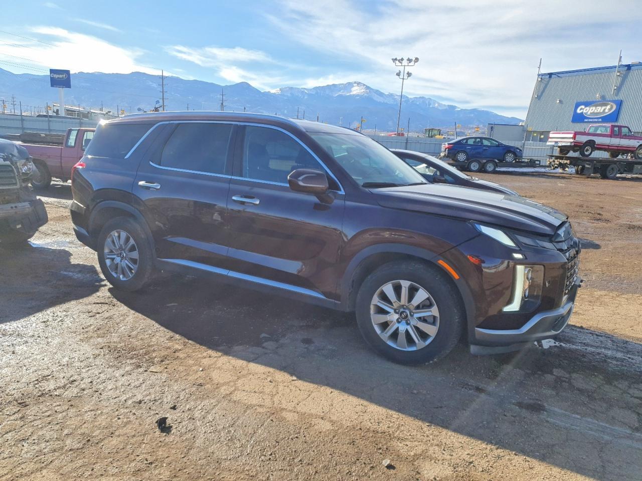 2024 Hyundai Palisade Sel - Фото 4