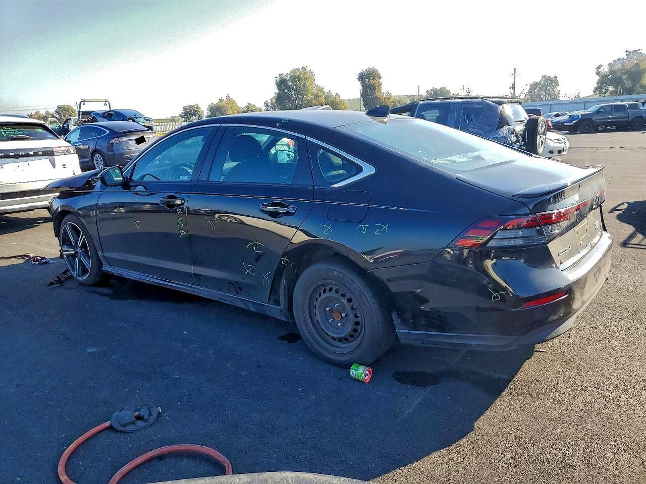 2024 Honda Accord Hybrid Sport - Фото 2