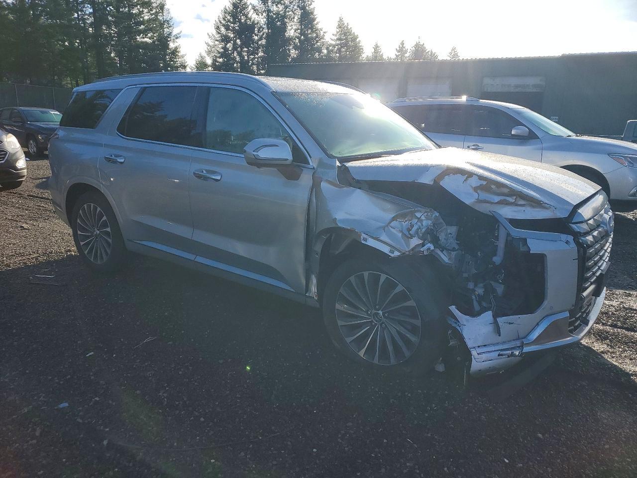 2024 Hyundai Palisade Calligraphy - Фото 4