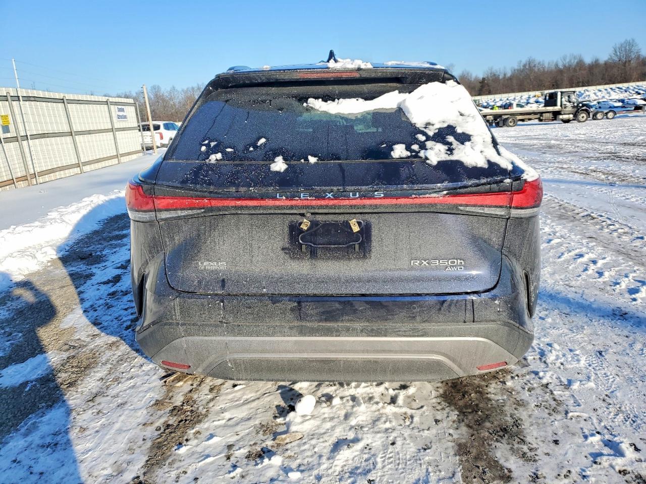 2025 Lexus Rx 350H Base - Фото 6