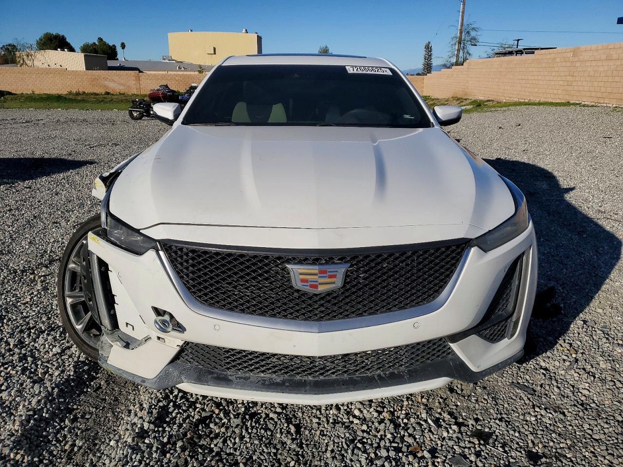 2024 Cadillac Ct5 Sport - Фото 5