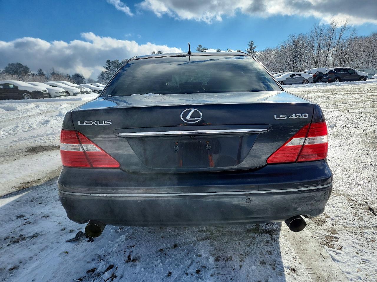 2004 Lexus Ls 430 Base - Фото 6