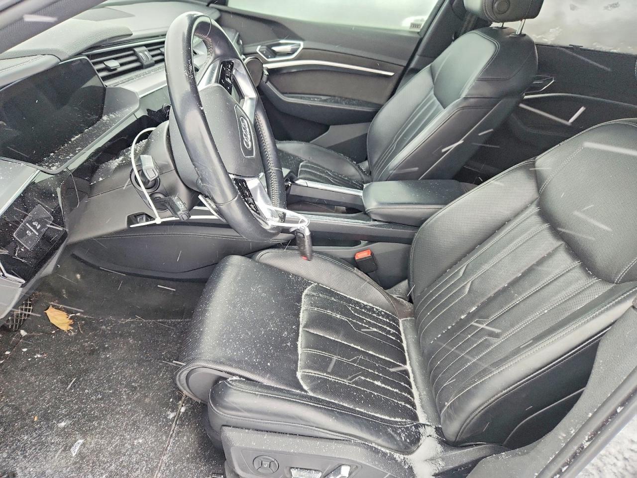 2019 Audi E-Tron Prestige - Image 7