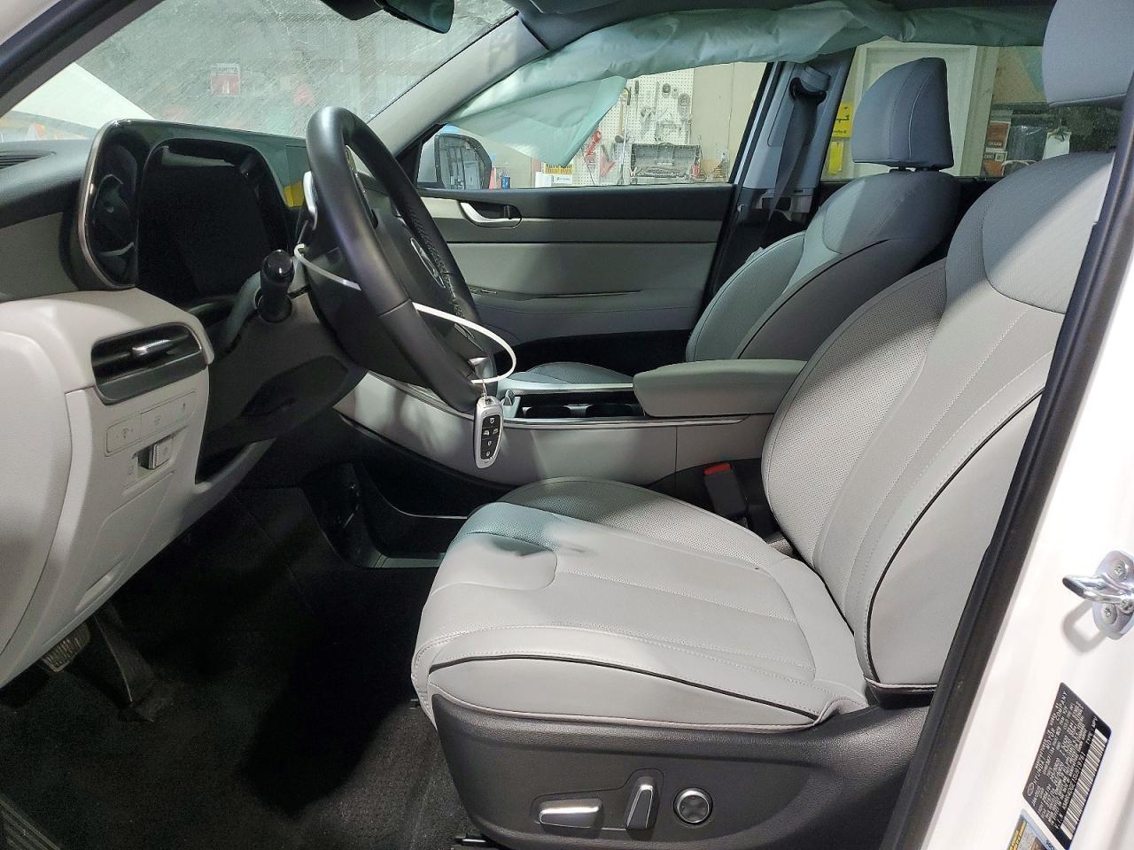 2025 Hyundai Palisade Sel Premium - Фото 7