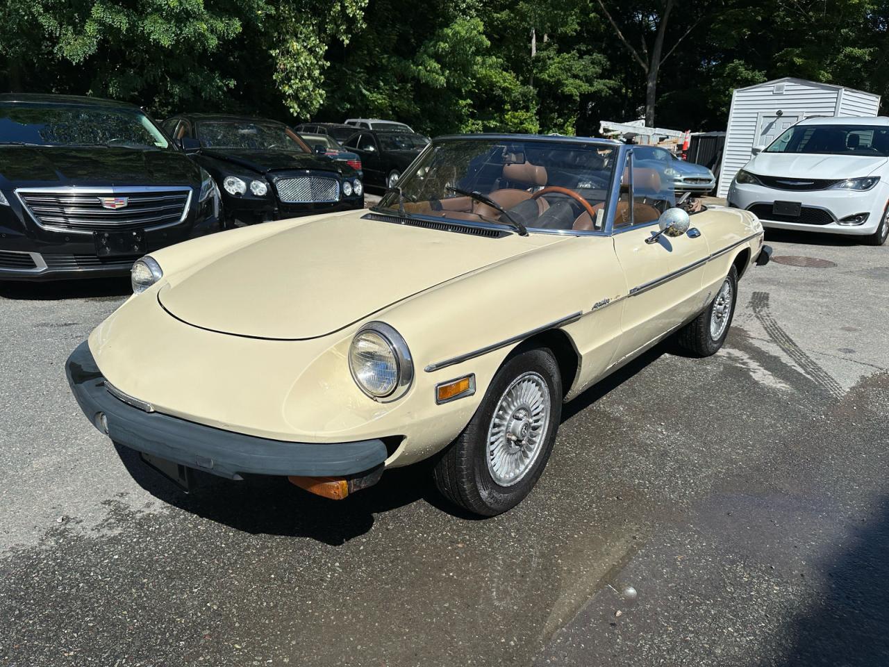 1982 Alfa Romeo Veloce 2000 Spider - Image 2