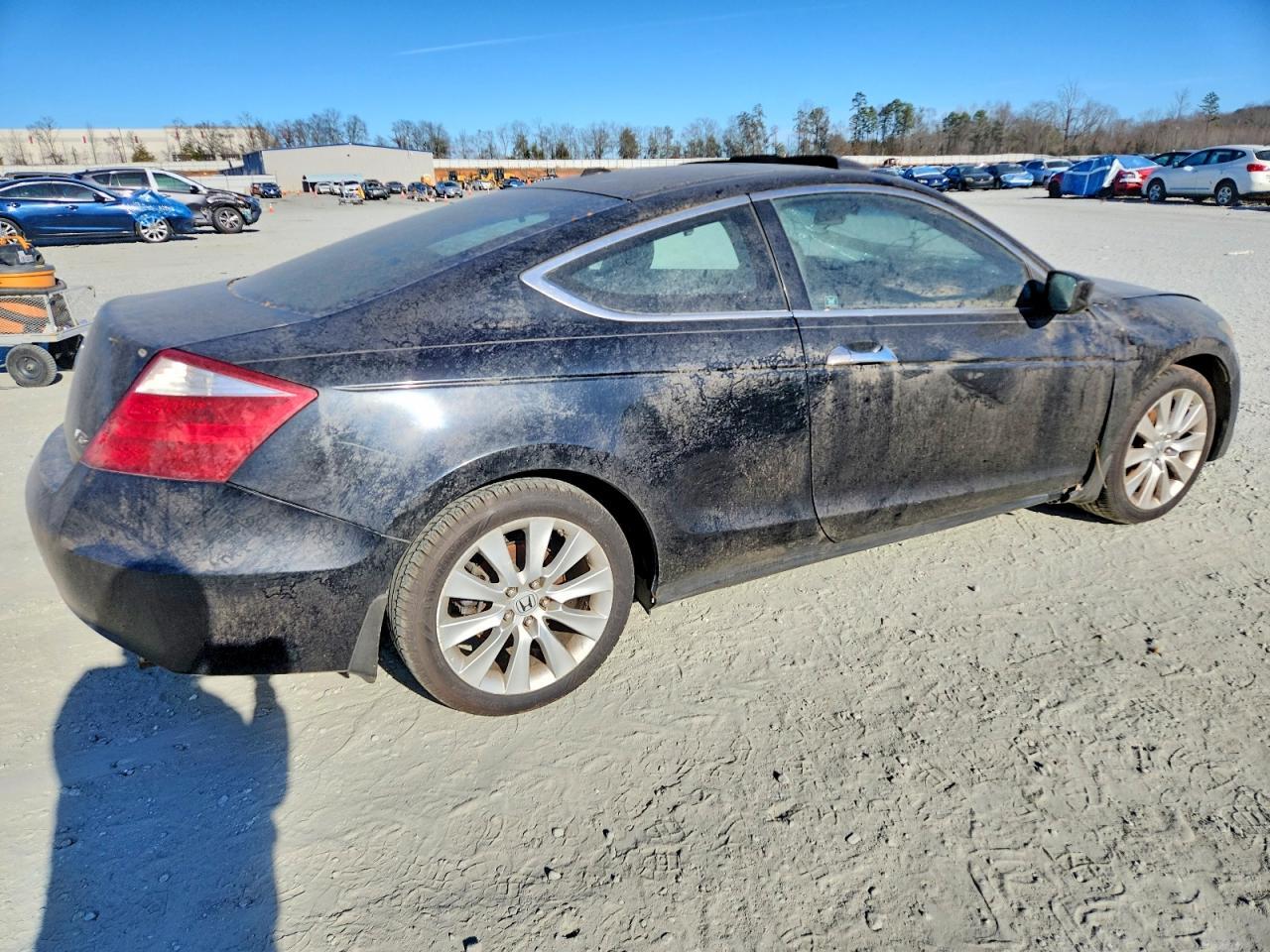 2008 Honda Accord Exl - Фото 3