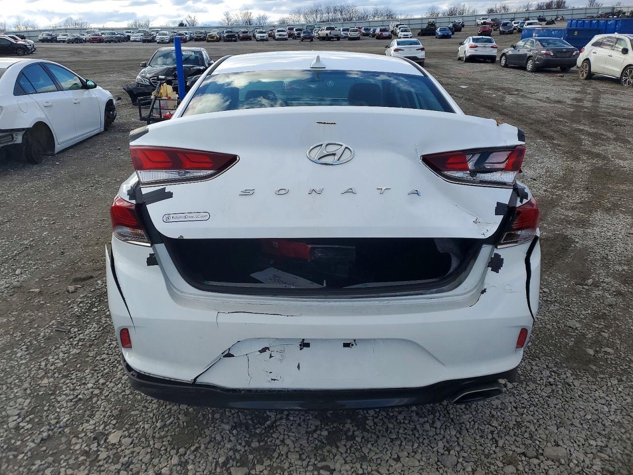 2019 Hyundai Sonata Limited - Фото 6