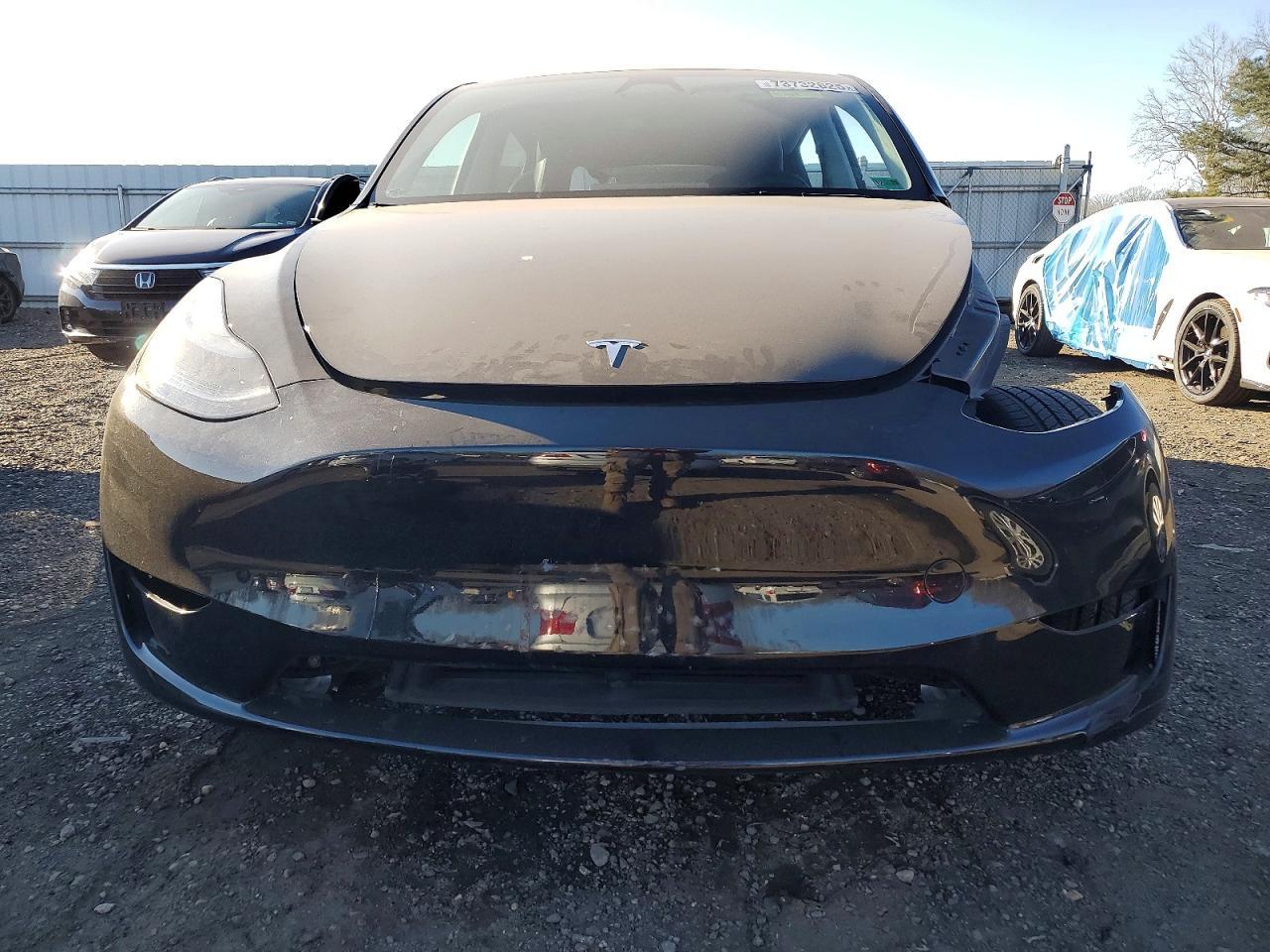 2024 Tesla Model Y - Фото 5