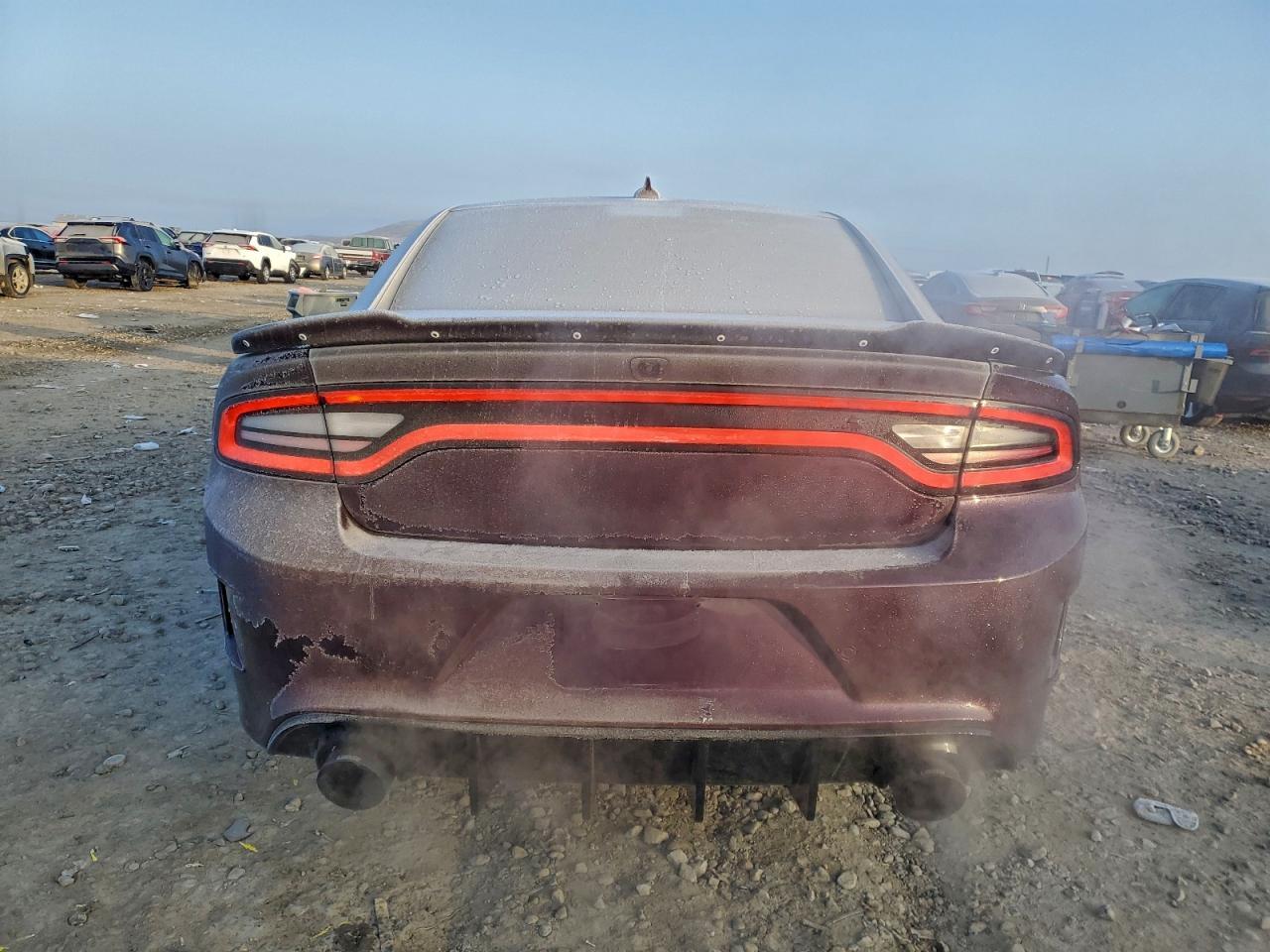 2021 Dodge Charger R/T - Фото 6