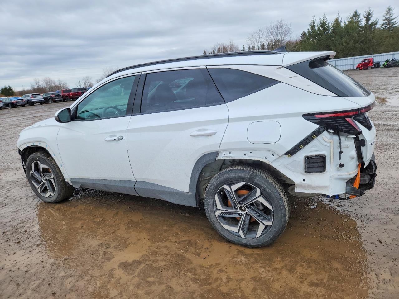 2024 Hyundai Tucson Sel Convenience - Фото 2