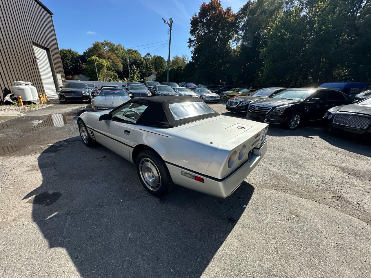 1986 Chevrolet Corvette - Фото 3