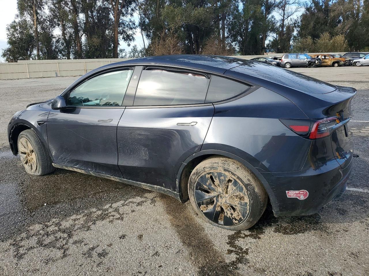 2024 Tesla Model Y - Фото 2