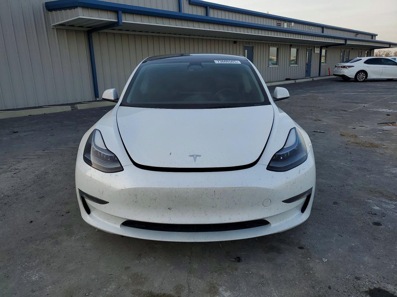 2023 Tesla Model 3 - Фото 5