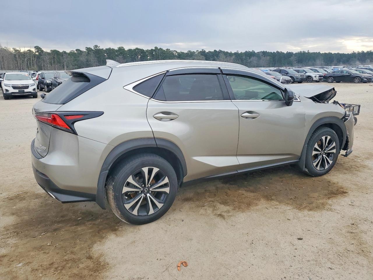 2020 Lexus Nx 300 F Sport - Фото 3