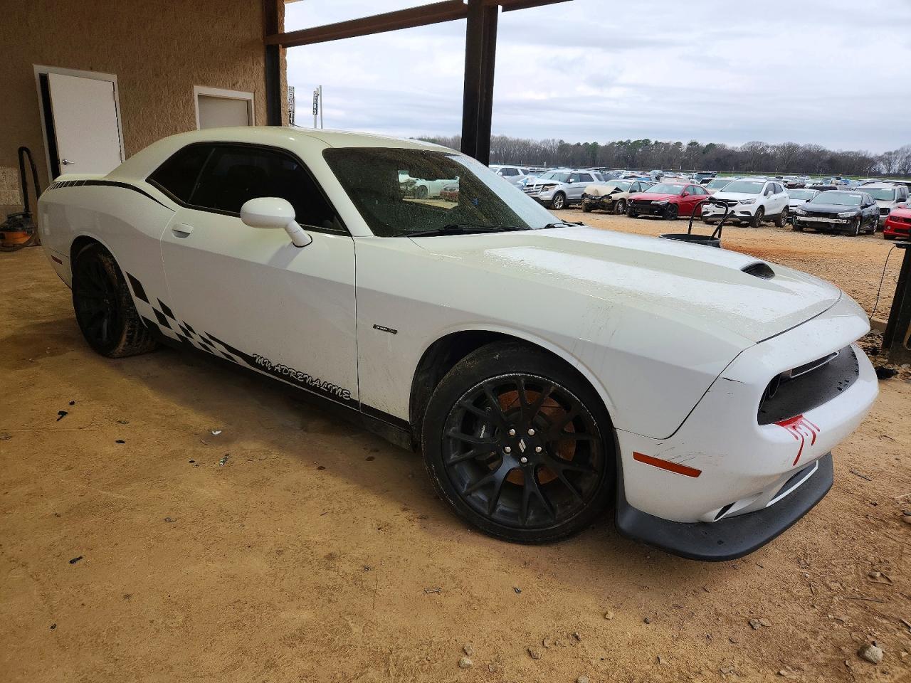 2019 Dodge Challenger R/T - Фото 4