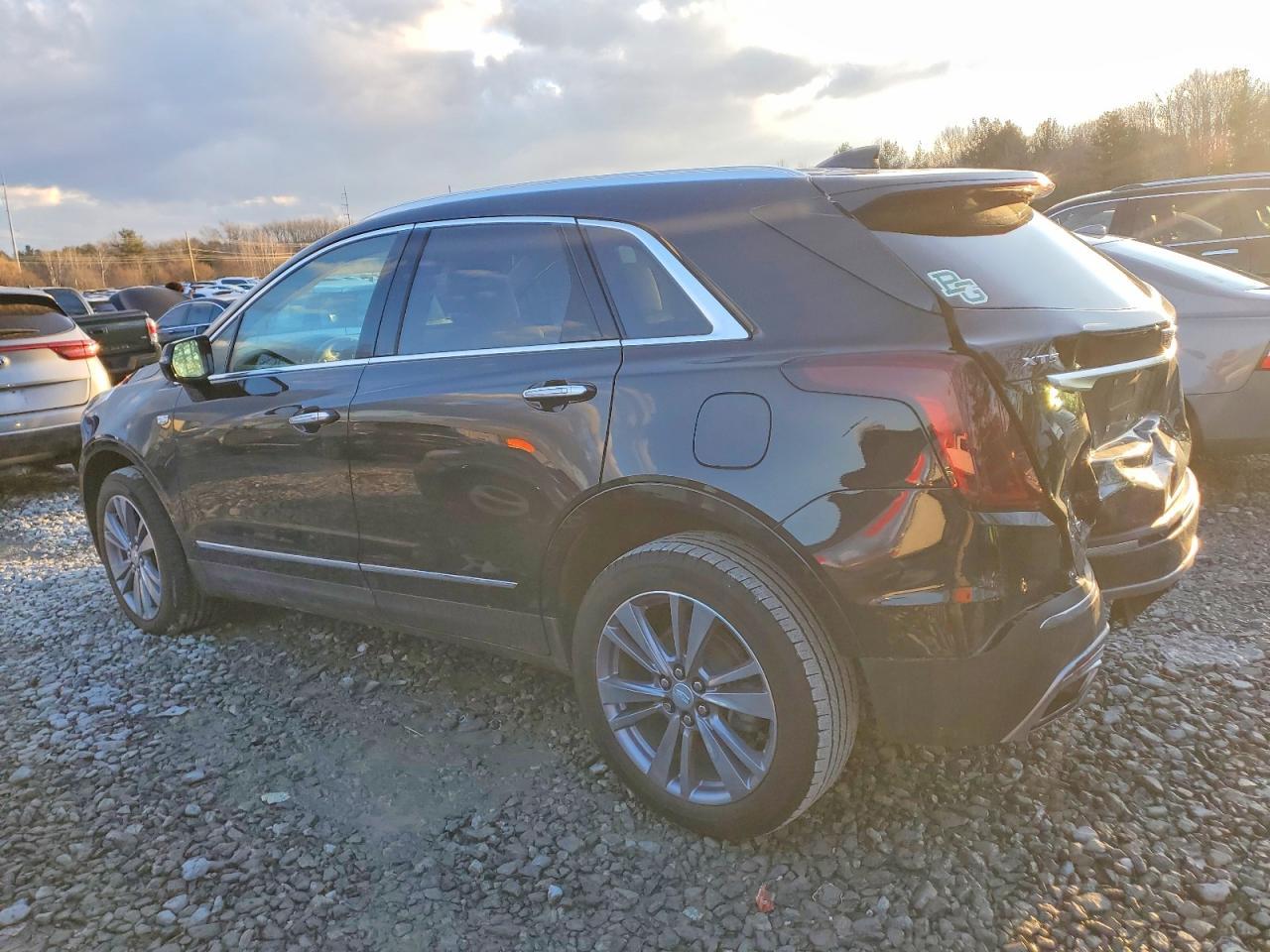 2024 Cadillac Xt5 Premium Luxury - Фото 2