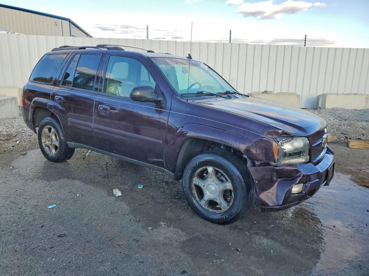 2008 Chevrolet Trailblazer Ls - Фото 4