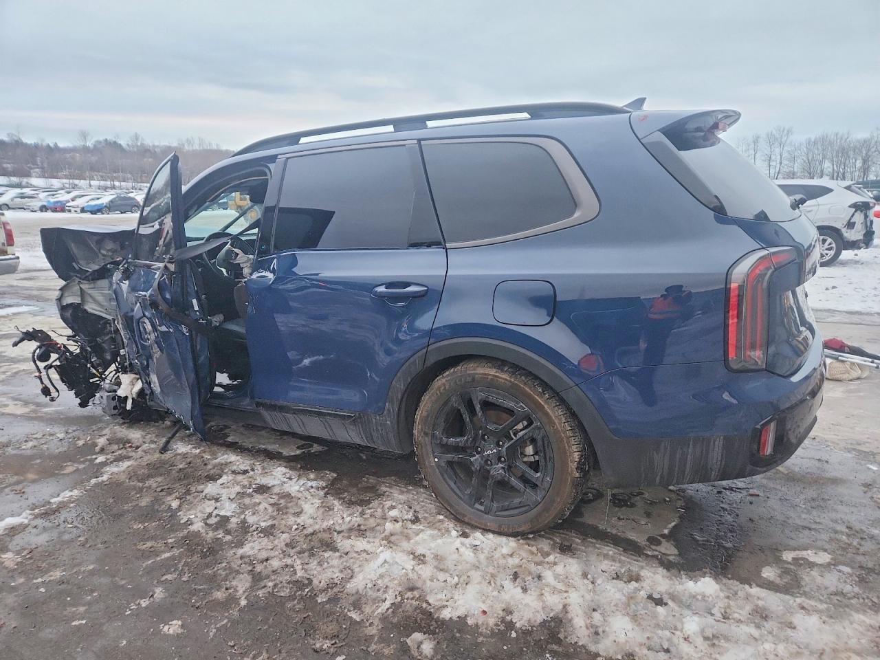 2024 Kia Telluride Sx X-Line - Фото 2