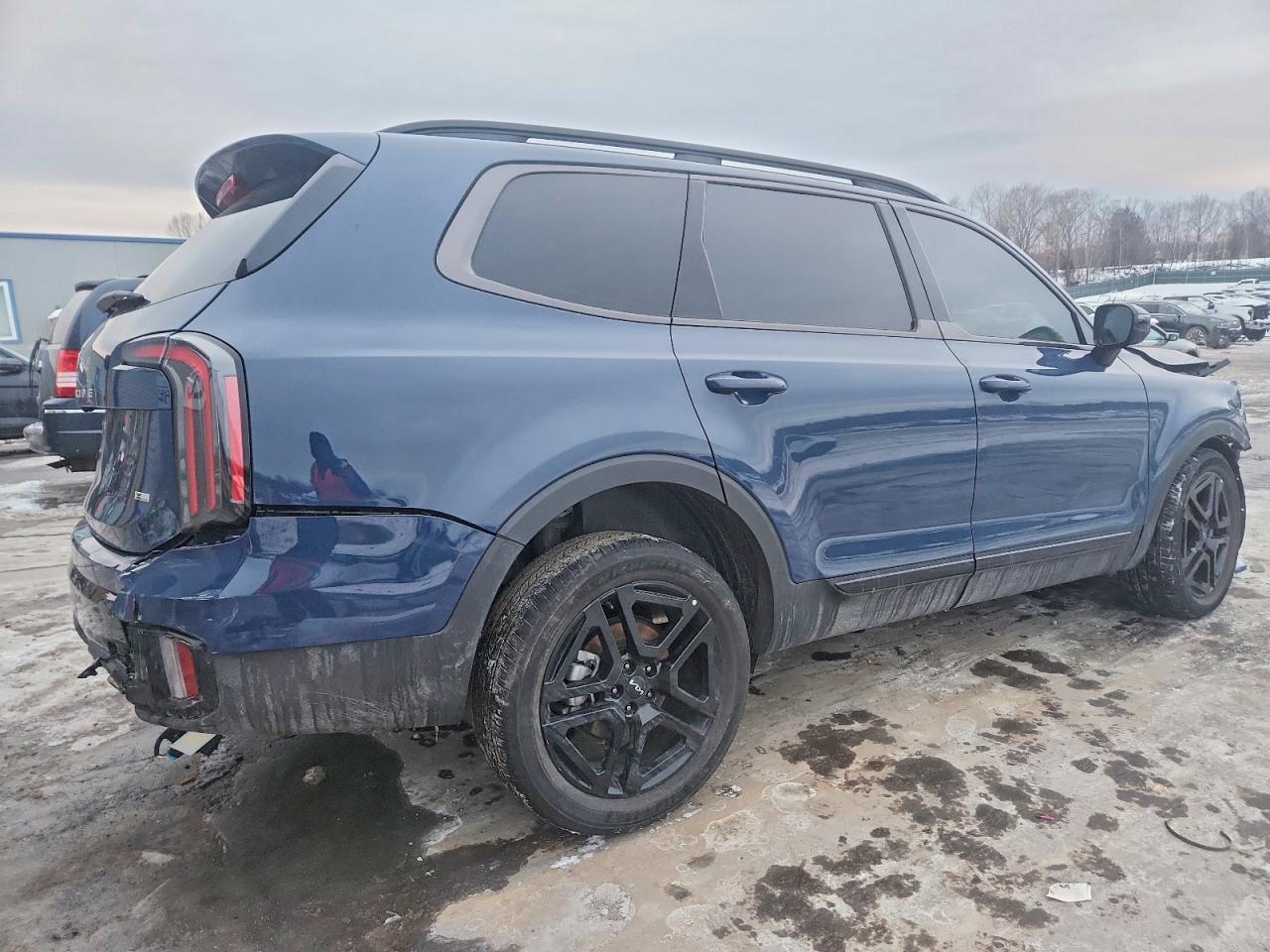 2024 Kia Telluride Sx X-Line - Фото 3
