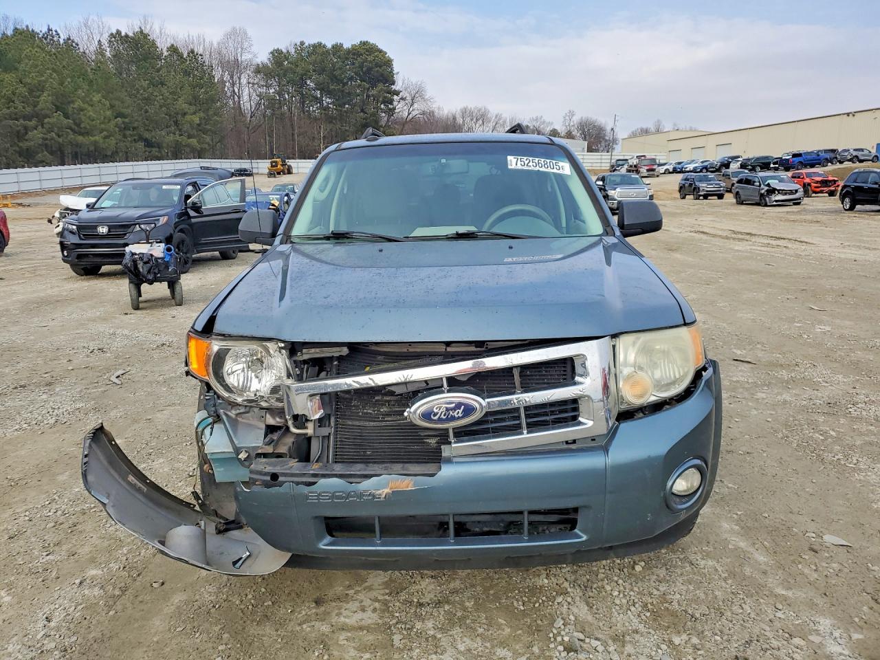 2010 Ford Escape Xlt - Фото 5