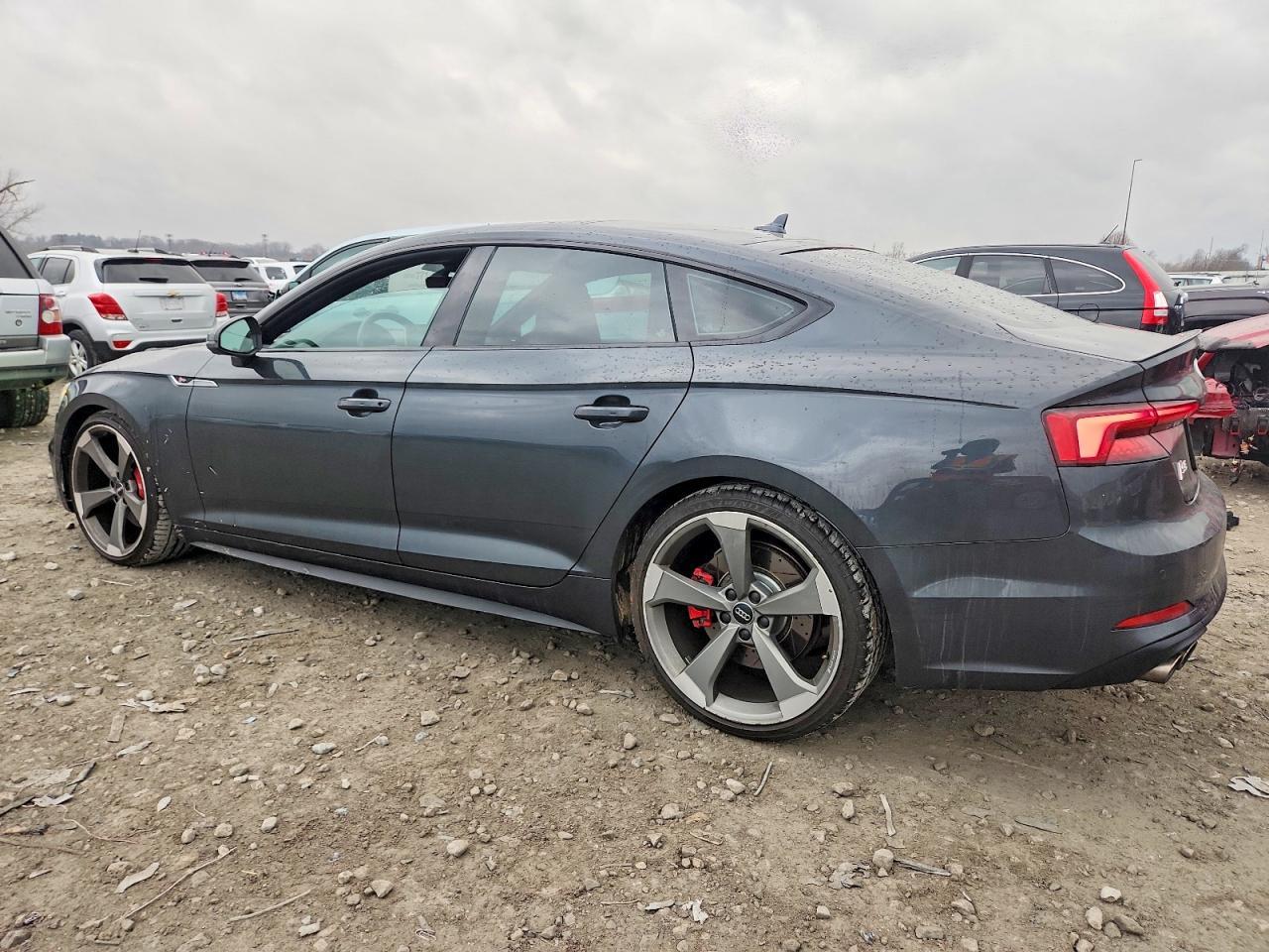 2019 Audi S5 Prestige - Фото 2