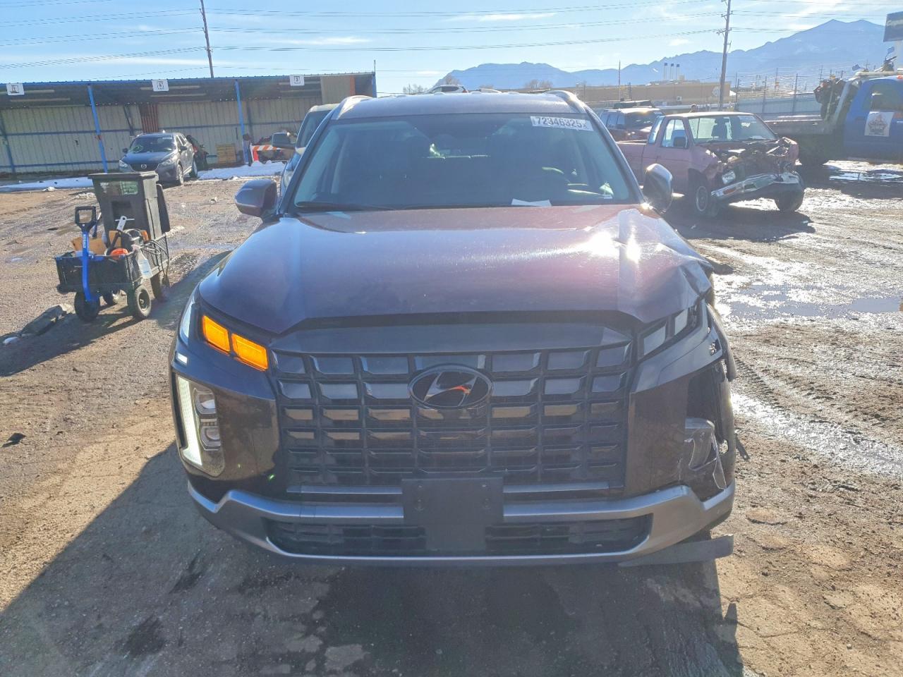 2024 Hyundai Palisade Sel - Фото 5