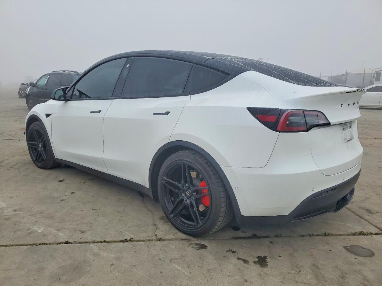 2022 Tesla Model Y - Фото 2